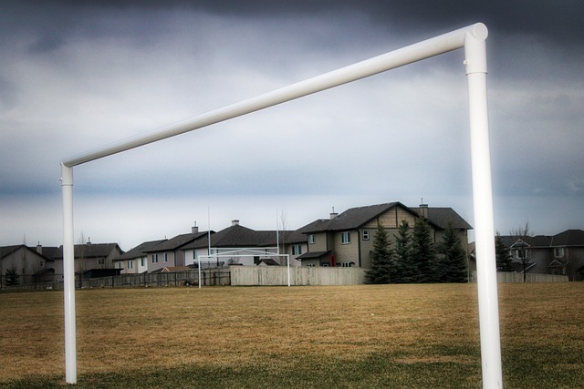 他战胜种种 他战胜种种