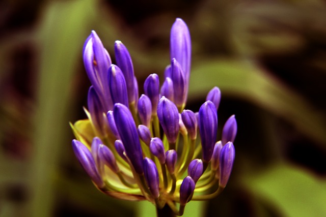 他活跃于两 他活跃于两