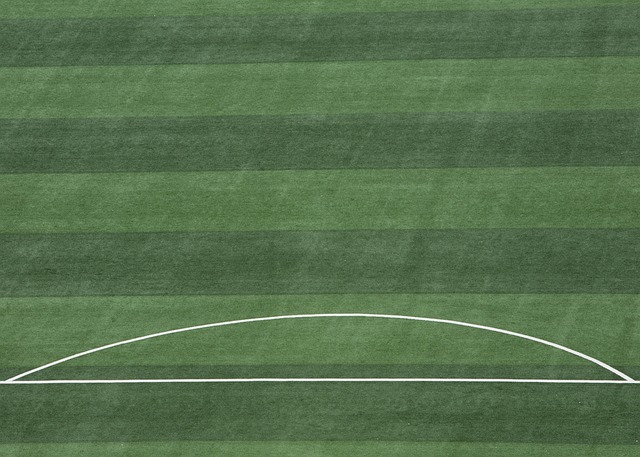 面对的长期 面对的长期