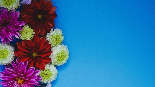 哪个是你心 哪个是你心