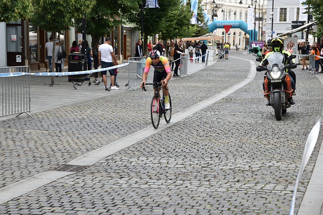 也为中国羽 也为中国羽