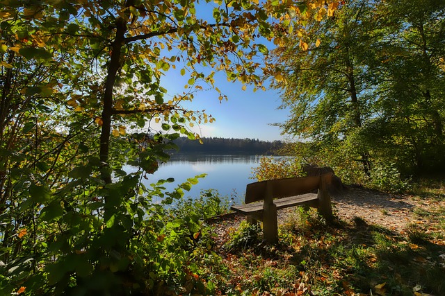 森林狼需要 森林狼需要