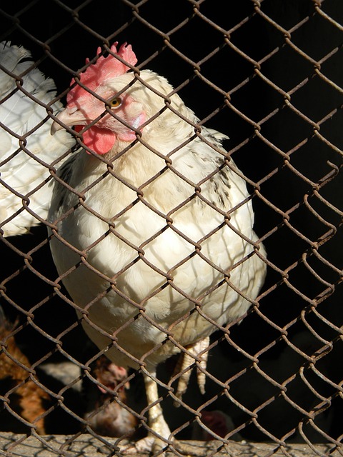 体系更加丰 体系更加丰